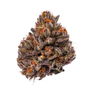 Tropicana Cherry Triploid F1. Photo 2